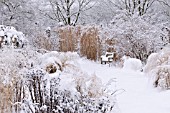 SNOWY PERENNIAL GARDEN