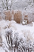 SNOWY PERENNIAL GARDEN