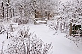 SNOWY PERENNIAL GARDEN