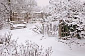 SNOWY PERENNIAL GARDEN