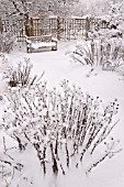 SNOWY PERENNIAL GARDEN