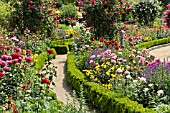 ROSE GARDEN WITH BOX HEDGES