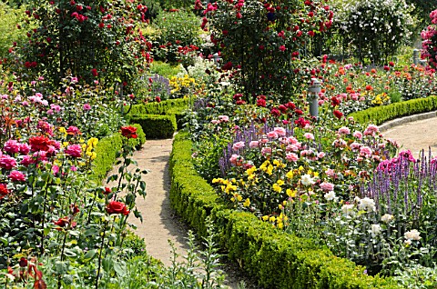ROSE_GARDEN_WITH_BOX_HEDGES