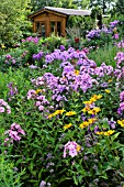 PHLOX PANICULATA AND HELIOPSIS HELIANTHOIDES. DESIGN: MARIANNE AND DETLEF LUEDKE