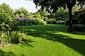 LAWN IN A PERENNIAL GARDEN. DESIGN: MARIANNE AND DETLEF LUEDKE