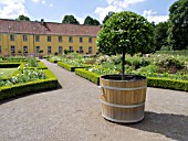 GARDEN AT THE ORANGERY, BENRATH PALACE, DUESSELDORF, GERMANY