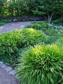 HAKONECHLOA MACRA, JAPANESE FOREST GRASS, BRITZER GARTEN, BERLIN, GERMANY