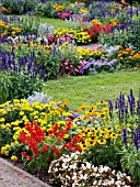 RUDBECKIA, SALVIA, TAGETES AND MARIGOLD