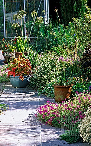 PATIO_PLANTING_AT_BADGERS__SUSSEX__TOM_AND_ANN_MOUNT