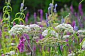 SUMMER MEADOW