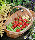 TRUG WITH STRAWBERRIES AND VEGETABLES