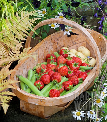 TRUG_WITH_STRAWBERRIES_AND_VEGETABLES