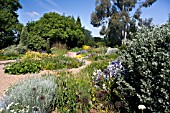 THE  DROUGHT RESISTANT GRAVEL GARDEN AT BETH CHATTO GARDENS.