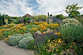 THE DRY GARDEN AT RHS GARDEN HYDE HALL IN JUNE