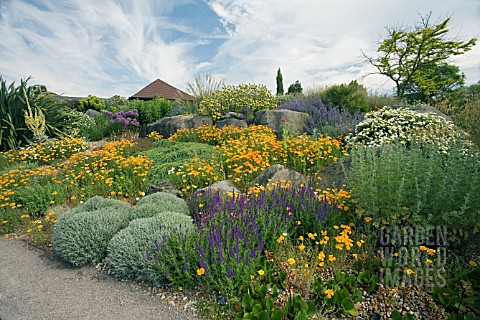 THE_DRY_GARDEN_AT_RHS_GARDEN_HYDE_HALL_IN_JUNE