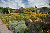 THE DRY GARDEN AT RHS GARDEN HYDE HALL IN JUNE