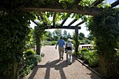 THE ENTRANCE TO THE GARDENS AT RHS GARDEN,  HYDE HALL,  IS THROUGH THIS ARCH OF CLEMATIS AND WISTERIA