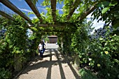 THE ENTRANCE TO THE GARDENS AT RHS GARDEN,  HYDE HALL,  IS THROUGH THIS ARCH OF CLEMATIS AND WISTERIA