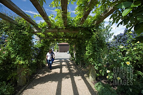 THE_ENTRANCE_TO_THE_GARDENS_AT_RHS_GARDEN__HYDE_HALL__IS_THROUGH_THIS_ARCH_OF_CLEMATIS_AND_WISTERIA