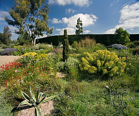 THE__DROUGHT_RESISTANT_GRAVEL_GARDEN_AT_BETH_CHATTO_GARDENS