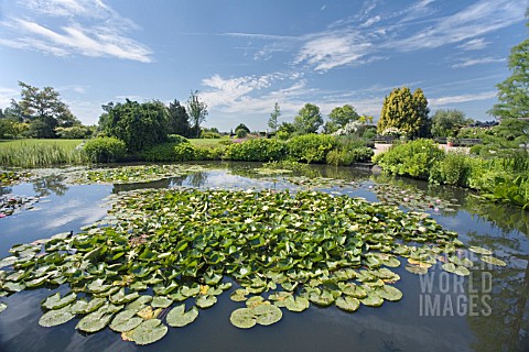VIEW_FROM_THE_TOP_POND_AT_RHS_GARDEN__HYDE_HALL_IN_JUNE