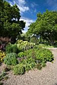 THE DROUGHT RESISTANT GRAVEL GARDEN AT BETH CHATTO GARDENS.