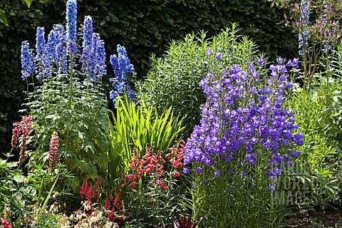 A_COTTAGE_GARDEN_STYLE_BORDER