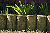 WOOD LOG EDGING,  SEPARATING THE LAWN FROM PLANTS