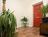 A HALLWAY WITH THREE HOUSEPLANTS.A BEAUCARNEA RECURVATA,  ELEPHANT FOOT OR PONYTAIL PALM. A SPATHIPHYLLUM,  PEACE LILLY. AND A PALM,  PHOENIX CANARIENSIS