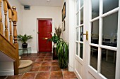 A HALLWAY WITH THREE HOUSEPLANTS.A BEAUCARNEA RECURVATA,  ELEPHANT FOOT OR PONYTAIL PALM. A SPATHIPHYLLUM,  PEACE LILLY. AND A PALM,  PHOENIX CANARIENSIS