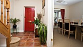 A HALLWAY WITH THREE HOUSEPLANTS. A BEAUCARNEA RECURVATA,  ELEPHANT FOOT OR PONYTAIL PALM. A SPATHIPHYLLUM,  PEACE LILLY. AND A PALM,  PHOENIX CANARIENSIS