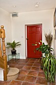 A HALLWAY WITH THREE HOUSEPLANTS.A BEAUCARNEA RECURVATA,  ELEPHANT FOOT OR PONYTAIL PALM. A SPATHIPHYLLUM,  PEACE LILLY. AND A PALM,  PHOENIX CANARIENSIS