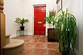 HALLWAY WITH THREE HOUSEPLANTS.A BEAUCARNEA RECURVATA,  ELEPHANT FOOT OR PONYTAIL PALM. A SPATHIPHYLLUM,  PEACE LILLY. AND PHOENIX CANARIENSIS,  PALM