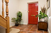 HALLWAY WITH THREE PLANTS.A BEAUCARNEA RECURVATA,  ELEPHANT FOOT OR PONYTAIL PALM. A SPATHIPHYLLUM,  PEACE LILLY.  PHOENIX CANARIENSIS,  PALM