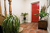 HALLWAY WITH THREE HOUSEPLANTS.A BEAUCARNEA RECURVATA,  ELEPHANT FOOT OR PONYTAIL PALM. A SPATHIPHYLLUM,  PEACE LILLY,  AND A PHOENIX CANARIENSIS PALM