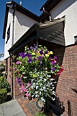 COLOURFUL SUMMER HANGING BASKET