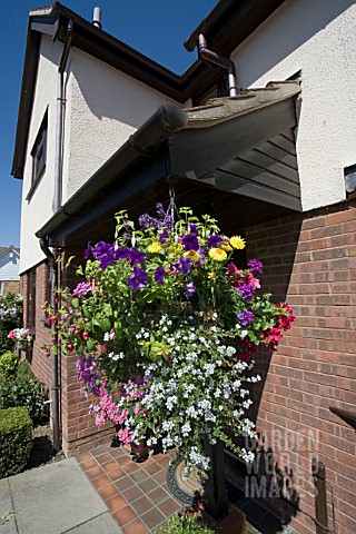 COLOURFUL_SUMMER_HANGING_BASKET