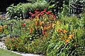 HERBACEOUS BORDER AT RHS GARDEN HYDE HALL,  CONTAINING KNIPHOFIA TRIANULARIS,  POTENTILLA GIBSONS SCARLET,  HEMEROCALLIS BURNING DAYLIGHT AND LYCHNIS CHALCEDONICA.