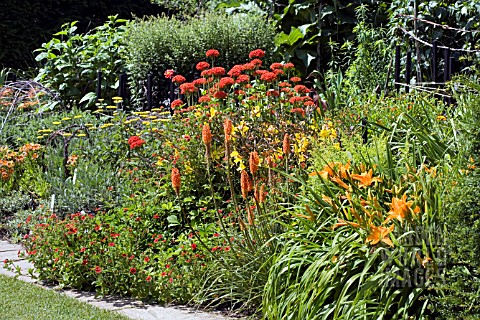 HERBACEOUS_BORDER_AT_RHS_GARDEN_HYDE_HALL__CONTAINING_KNIPHOFIA_TRIANULARIS__POTENTILLA_GIBSONS_SCAR