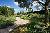 THE DROUGHT RESISTANT GRAVEL GARDEN AT BETH CHATTO GARDENS.