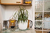 DRACAENA MARGINATA IN THE KITCHEN TOLERATING LIGHT SHADE AND LIKING THE HUMIDITY.