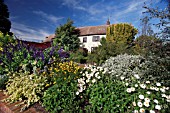 RHS GARDEN HYDE HALL IN OCTOBER WITH SALVIA INDIGO SPIRES  BRACTEANTHA COCO AND BIDENS FERULIFOLIA IN THE FOREGROUND.THE HOUSE,  WHICH DATES BACK TO THE 18TH CENTURY,  IS A TYPICAL ESSEX FARMHOUSE OF TIMBER FRAME,  LATHE AND PLASTER.