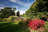 LAWN AND BEDDING WITH THE STRIKING RED EUONYMUS ALATUS COMPACTUS IN THE FOREGROUND