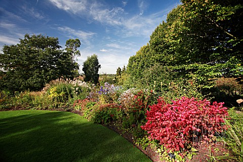 LAWN_AND_BEDDING_WITH_THE_STRIKING_RED_EUONYMUS_ALATUS_COMPACTUS_IN_THE_FOREGROUND