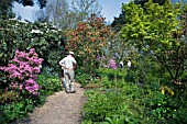 VISITORS TO RHS GARDEN, HYDE HALL STROLL THROUGH THE RHODODENDRONS, IN FULL FLOWER IN SPRING.
