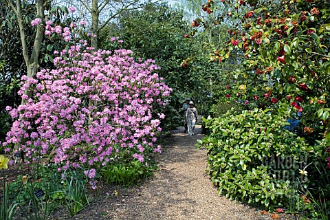 VISITORS_WALK_THROUGH_THE_GARDENS_OF_RHS_HYDE_HALL