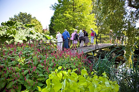 VISITORS_ON_THE_BRIDGE_AT_RHS_HYDE_HALL_GARDENS_IN_THE_FOREGROUND_IS_CORNUS_ALBA_AUREA_AND_BEHIND_TH