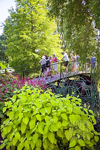 VISITORS_ON_THE_BRIDGE_AT_RHS_HYDE_HALL_GARDENS_IN_THE_FOREGROUND_IS_CORNUS_ALBA_AUREA_AND_BEHIND_TH