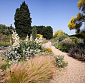 THE DROUGHT RESISTANT GRAVEL GARDEN AT BETH CHATTO GARDENS.