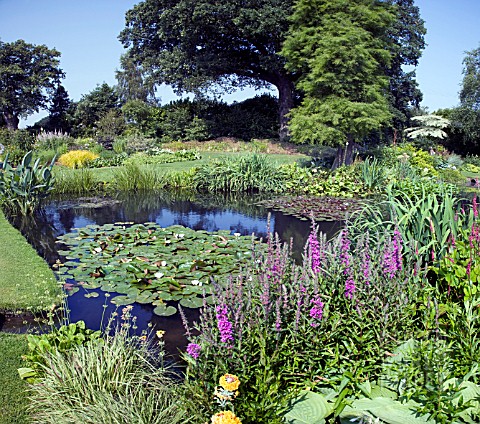 THE_WATER_GARDENS_AT_BETH_CHATTO_GARDENS